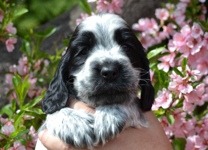 21 - Lady Abigail.JPG